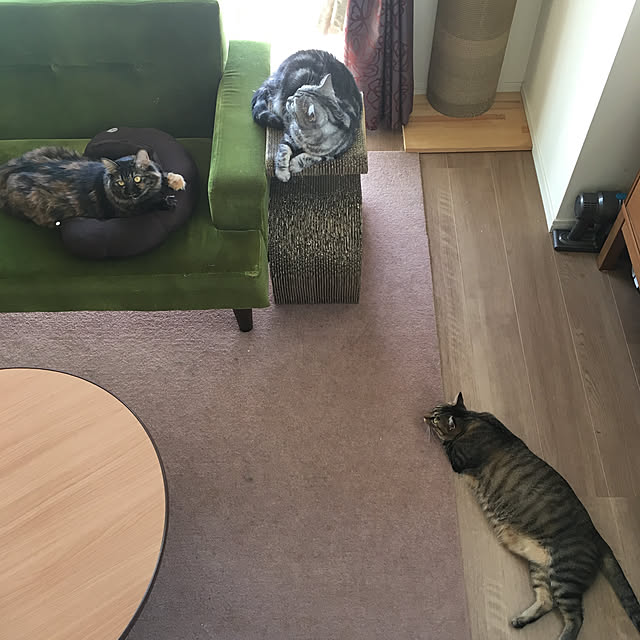 mikomaruさんの実例写真