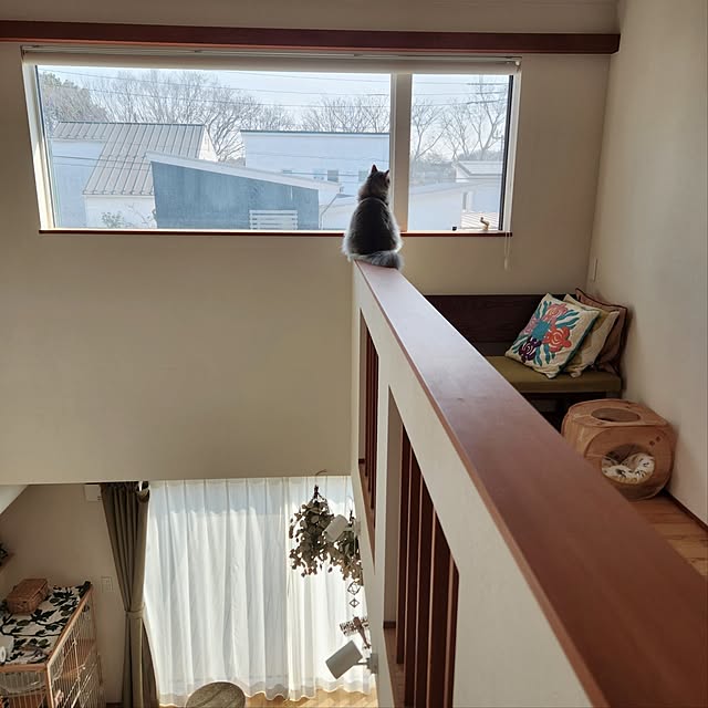kossyさんの実例写真