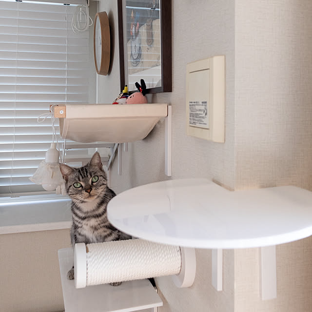 Yuki_with_a_tailさんの実例写真