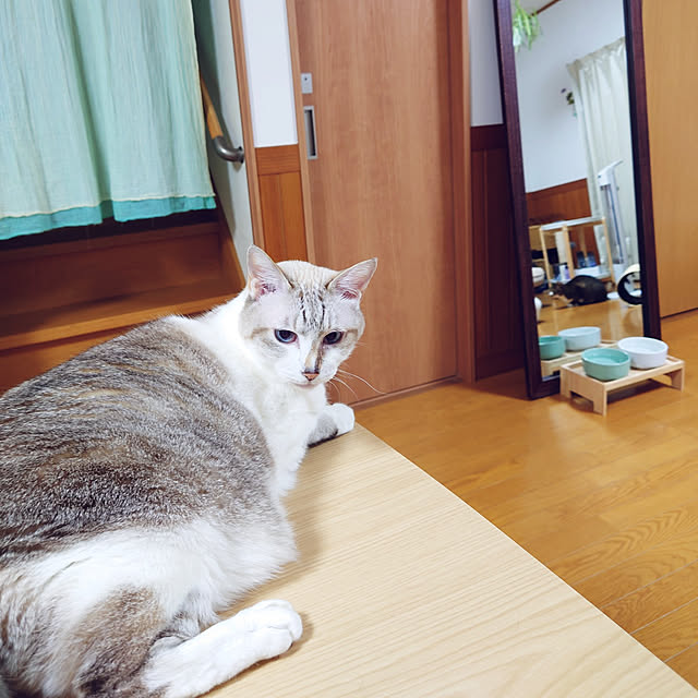 nachiさんの実例写真