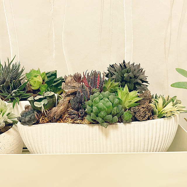 nanakoさんの部屋