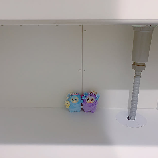 chisouさんの実例写真