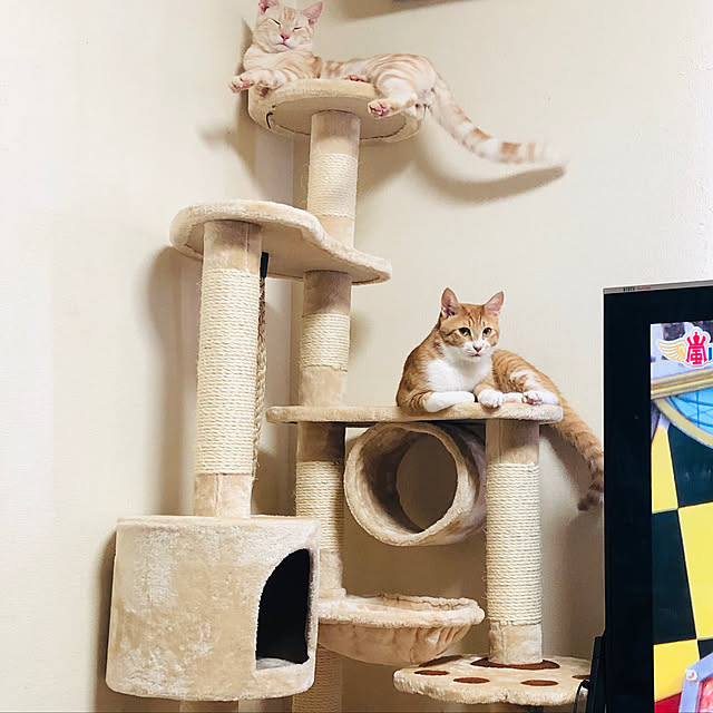 peachさんの実例写真