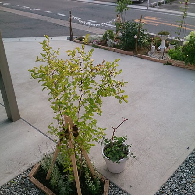 hiromiさんの実例写真