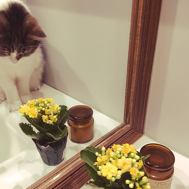 Keiさんの実例写真