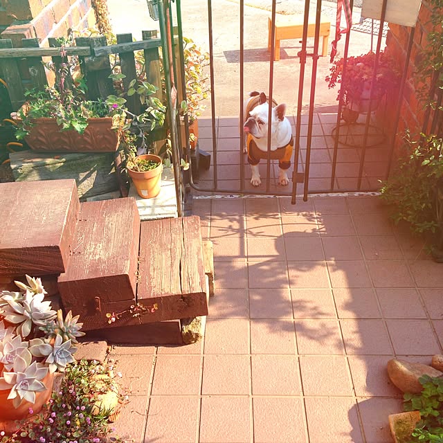 38coreさんの実例写真
