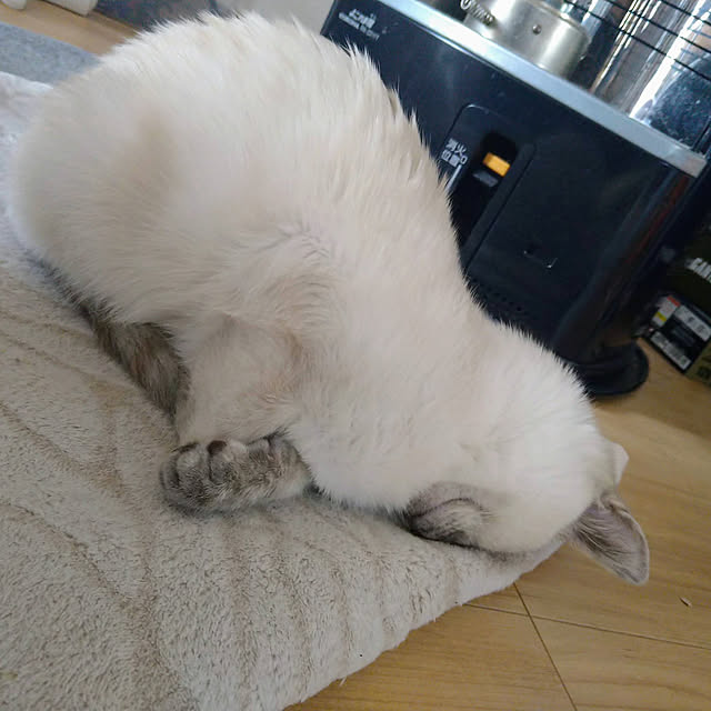kiyohima229さんの実例写真