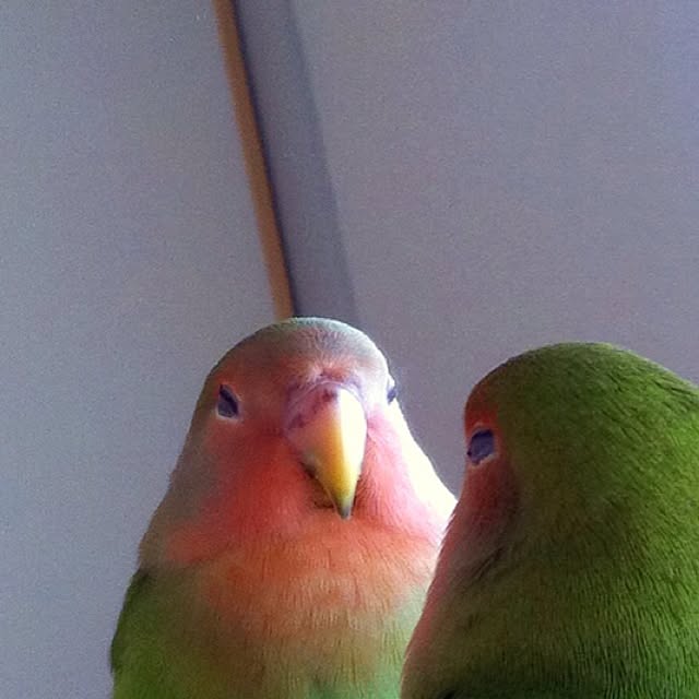 madokaさんの実例写真