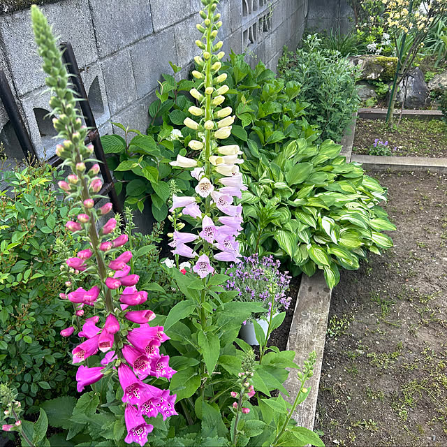banbinaさんの実例写真