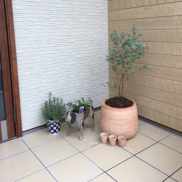 nonさんの実例写真