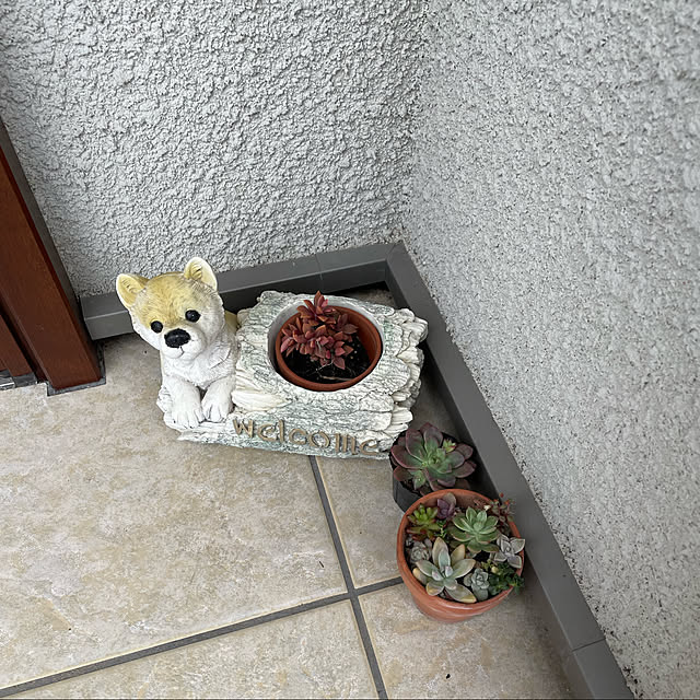 maruさんの実例写真
