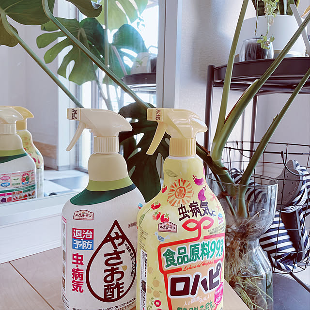 comonaさんの実例写真