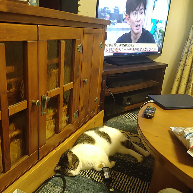 okyosan101さんの実例写真