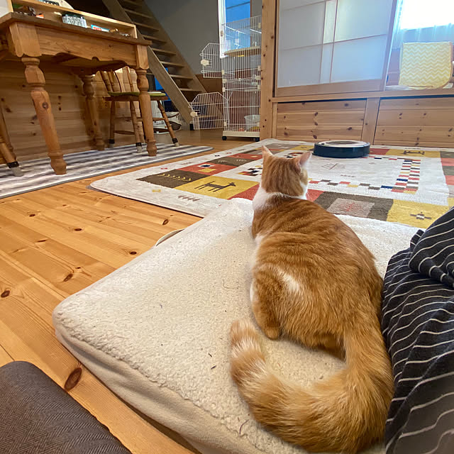 senbei.sakuramochiさんの実例写真