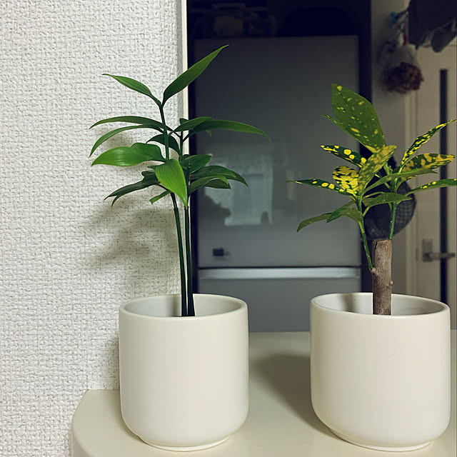 waon28さんの実例写真
