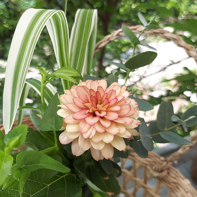 min_nimさんの実例写真