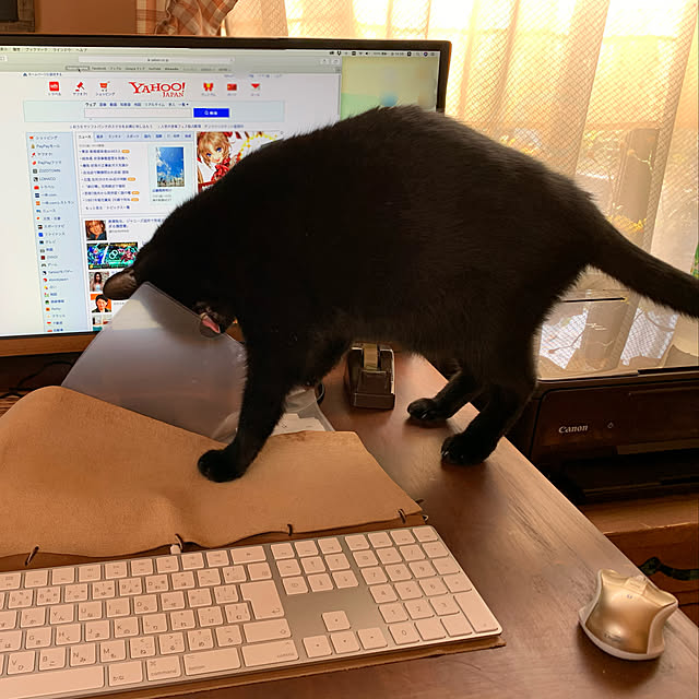 tabasaさんの実例写真