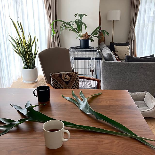 matthewさんの部屋