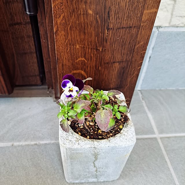 peonyさんの実例写真