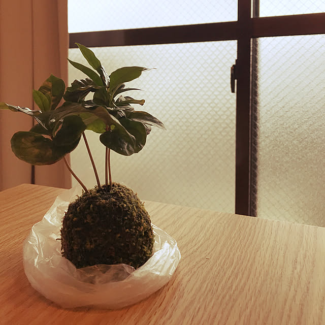 tonさんの実例写真