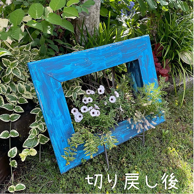 nobikoさんの部屋
