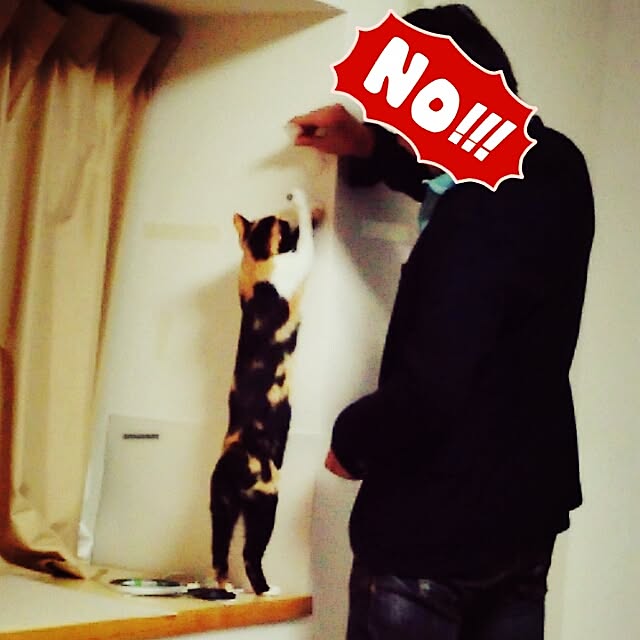 kuuaさんの実例写真