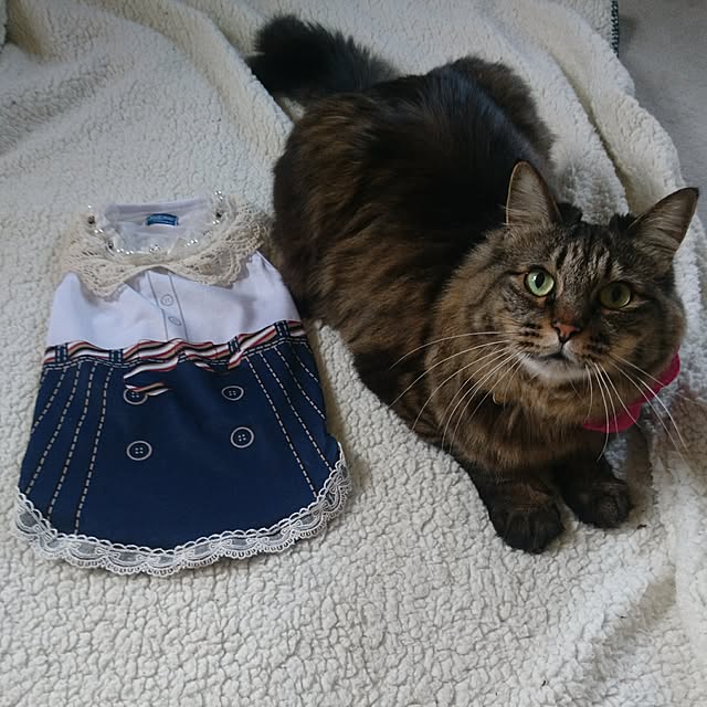 mayu.ariさんの実例写真
