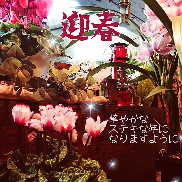 kajyuさんの実例写真