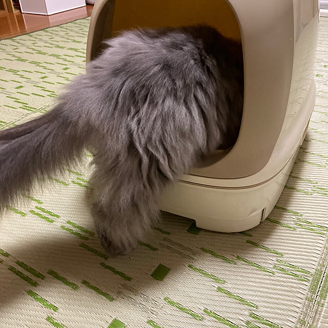 mimosaさんの実例写真