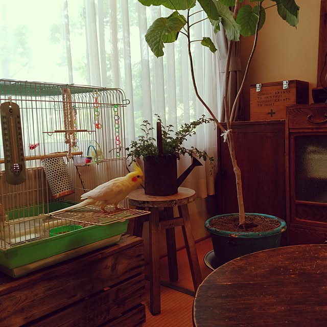 keikorinさんの実例写真