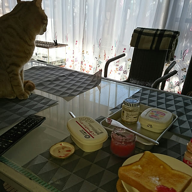 okyosan101さんの実例写真