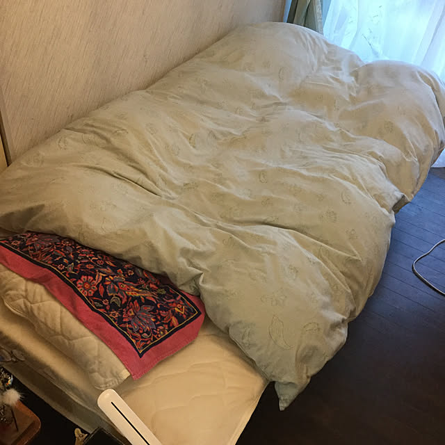 Y.Saさんの実例写真