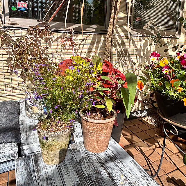 greycatsさんの実例写真