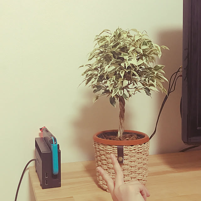 sunflowerさんの実例写真