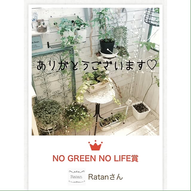Ratanさんの実例写真