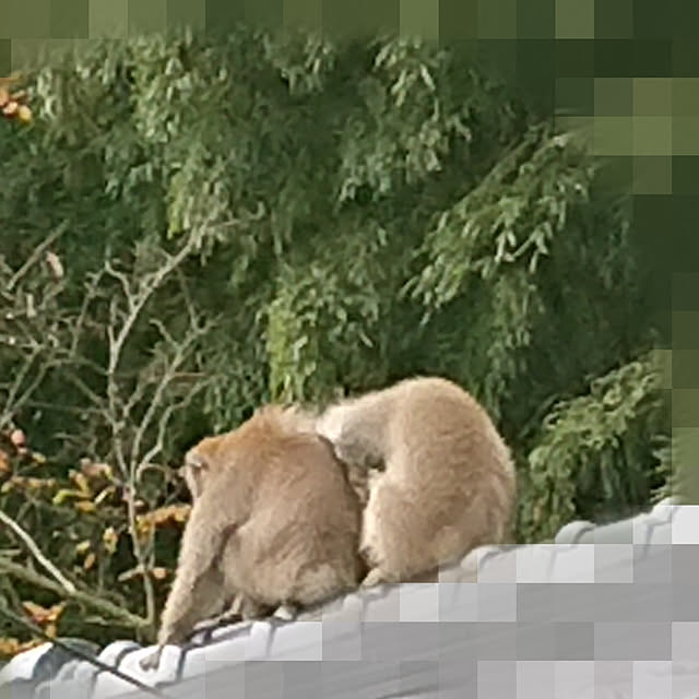 Runさんの実例写真