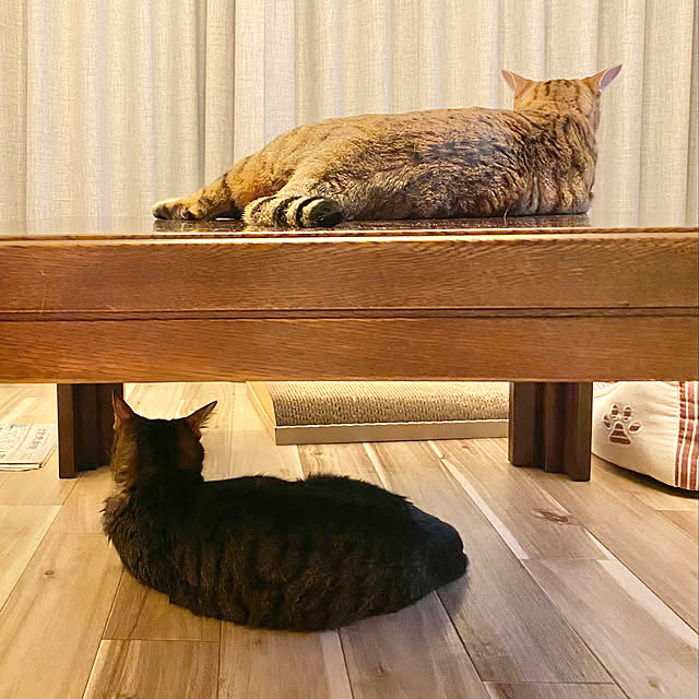 rioさんの実例写真
