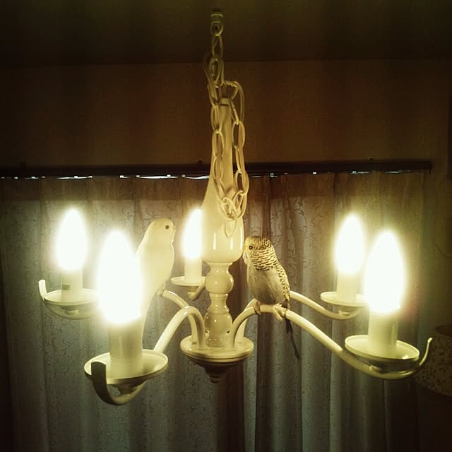 kanacoさんの実例写真