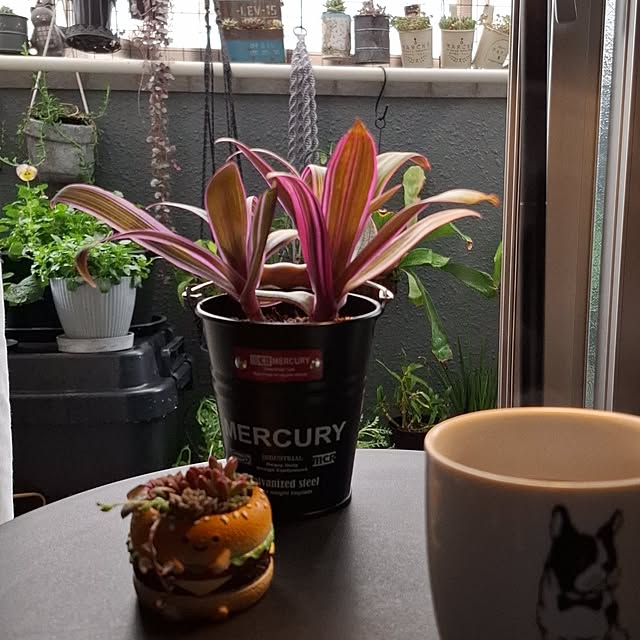 noaさんの実例写真