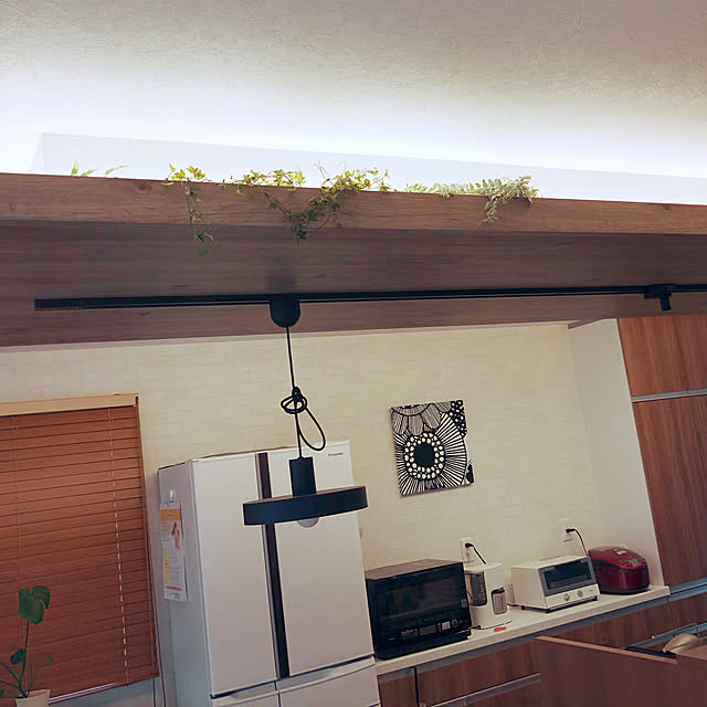 フェイクグリーン/照明/キッチンのインテリア実例 - 2019-05-01 13:20:31