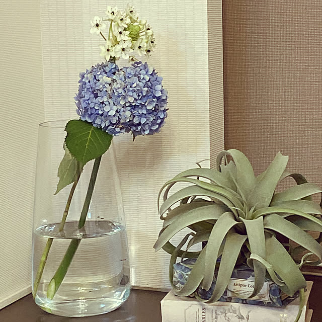 etsuさんの実例写真