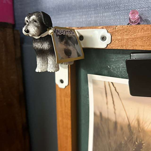 Fumiさんの部屋