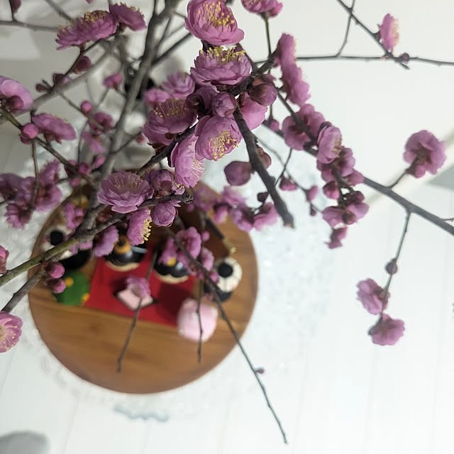 fumitanさんの部屋