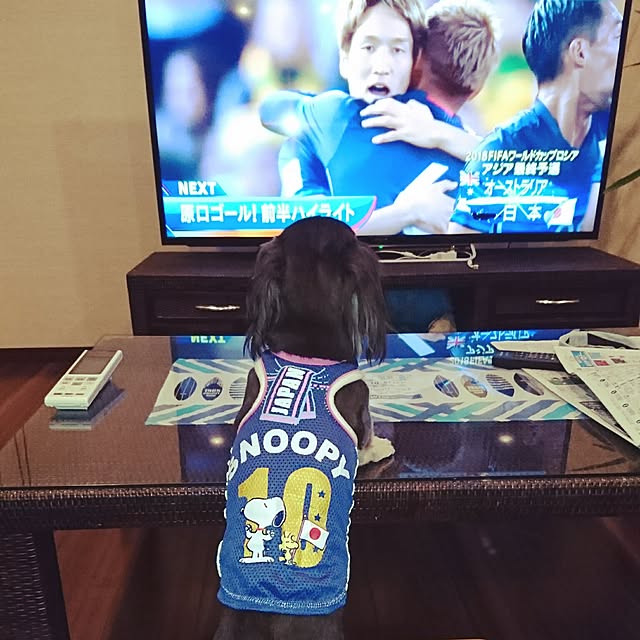 cocosorasakuさんの実例写真