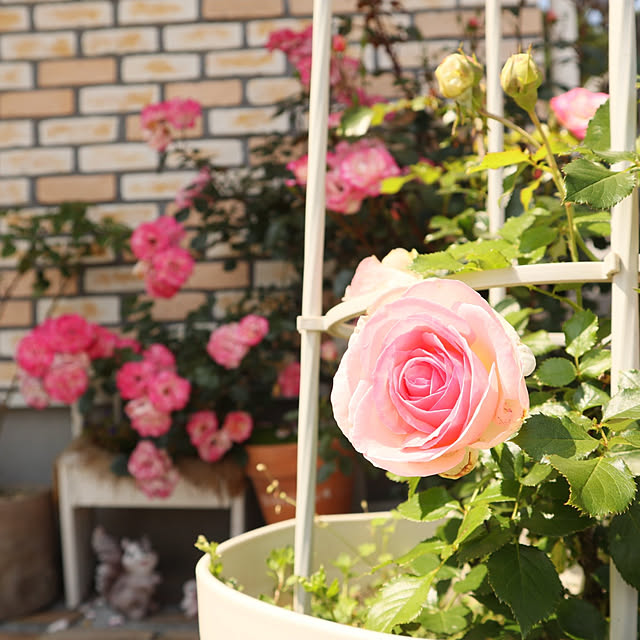 S.homeさんの実例写真