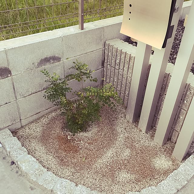 amucさんの実例写真