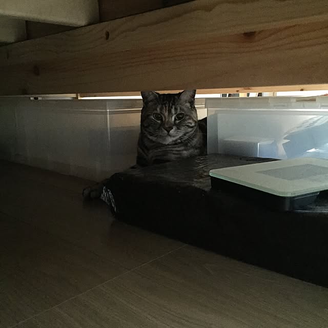 haruさんの実例写真