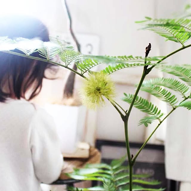 studio-fleurさんの実例写真