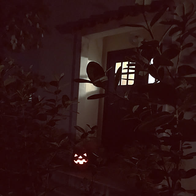 ulalaさんの実例写真