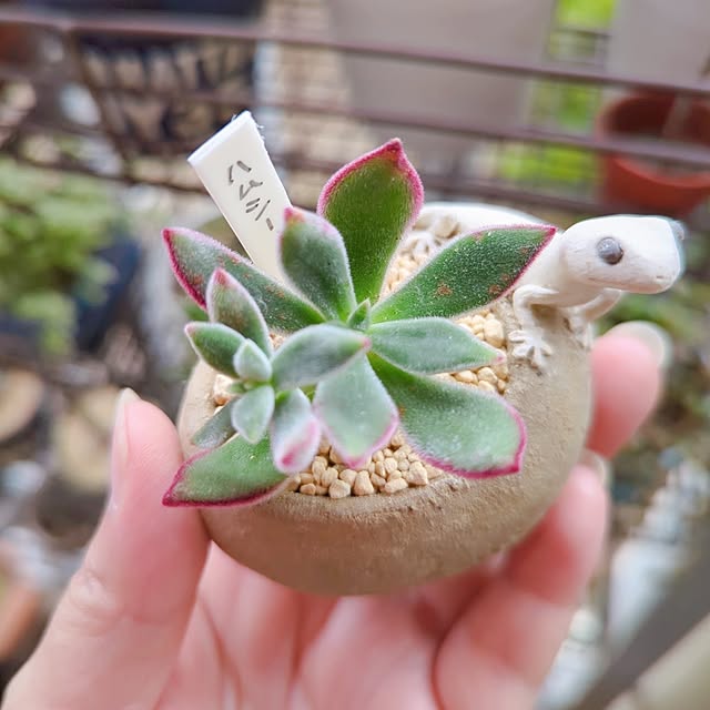 tamiさんの部屋